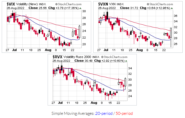 Daily Volatility Values